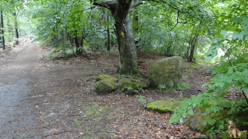 Ritterstein Nr. 282-5 Rote Hohl - Altstraße - Kreuzsteig.JPG - Ritterstein Nr.282 Rote Hohl - Altstraße - Kreuzsteig